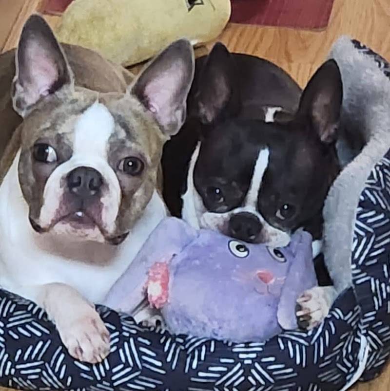 Prefured Pet LLC