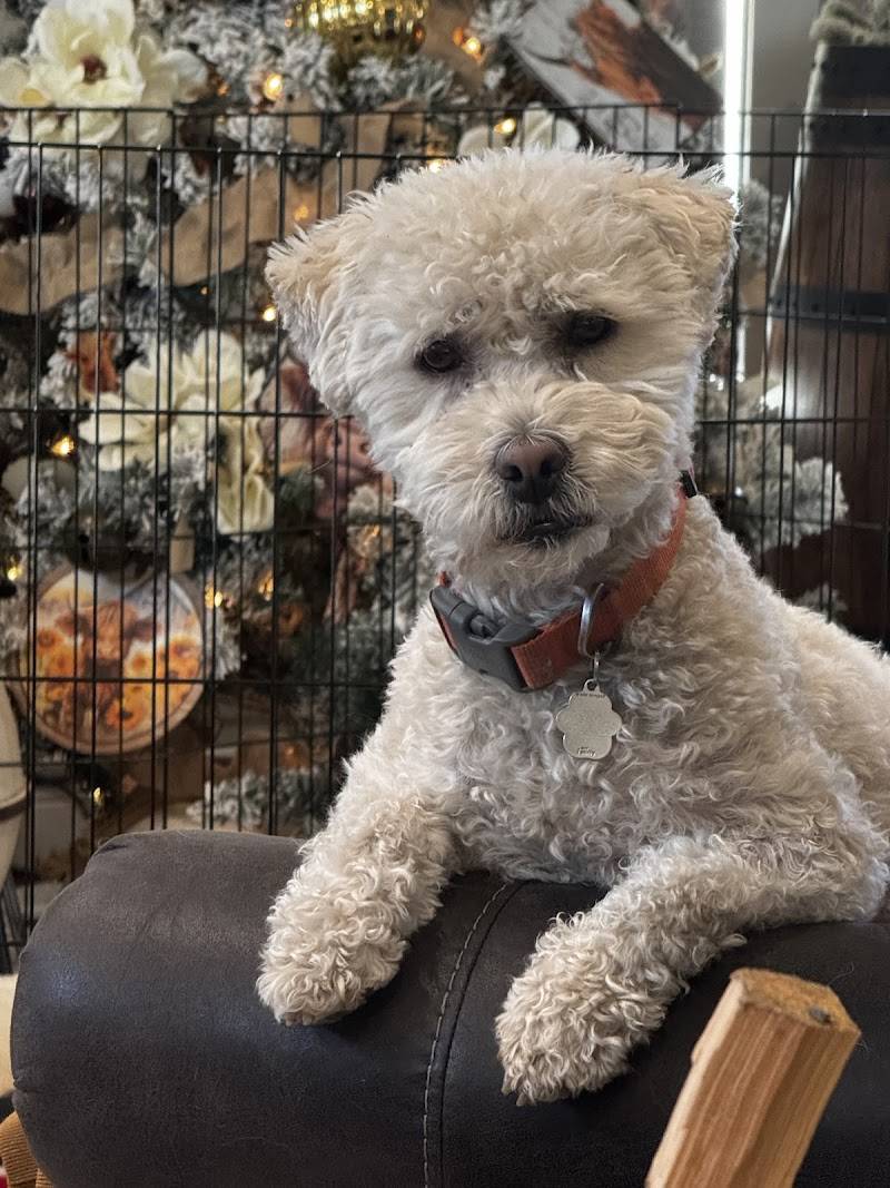 Prefured Pet LLC