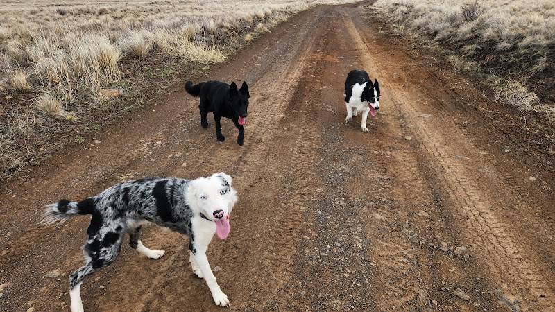 Prefured Pet LLC